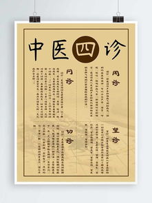 中醫(yī)保健四季養(yǎng)生指南 順應(yīng)自然，調(diào)和陰陽